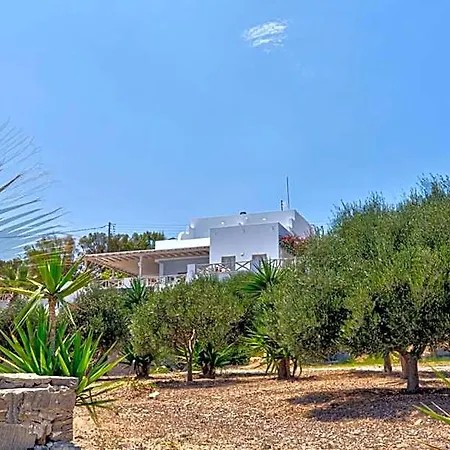 Blue Dolphin Fully Renovated By Rivea Group * Páros
