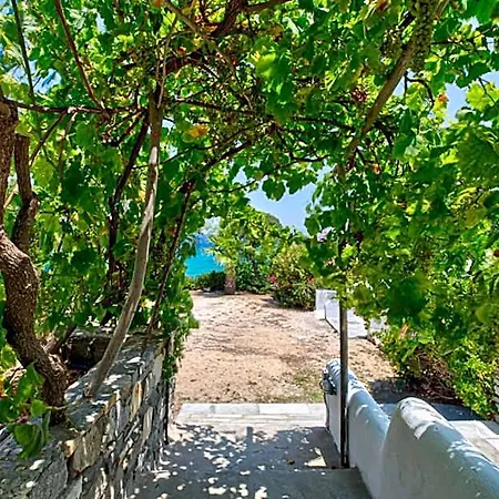 Hotell Blue Dolphin Fully Renovated By Rivea Group