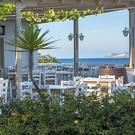 Hotell Blue Dolphin Fully Renovated By Rivea Group *